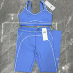 ALO blue and pink fitness high-waisted skinny Pants training set
