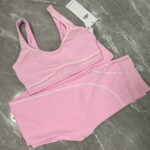 ALO blue and pink fitness high-waisted skinny Pants training set