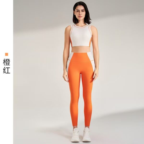 aloyoga's new high-waists fitness set