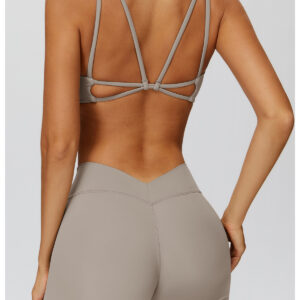 cc6f4e21f7e748d69977b3b101509253